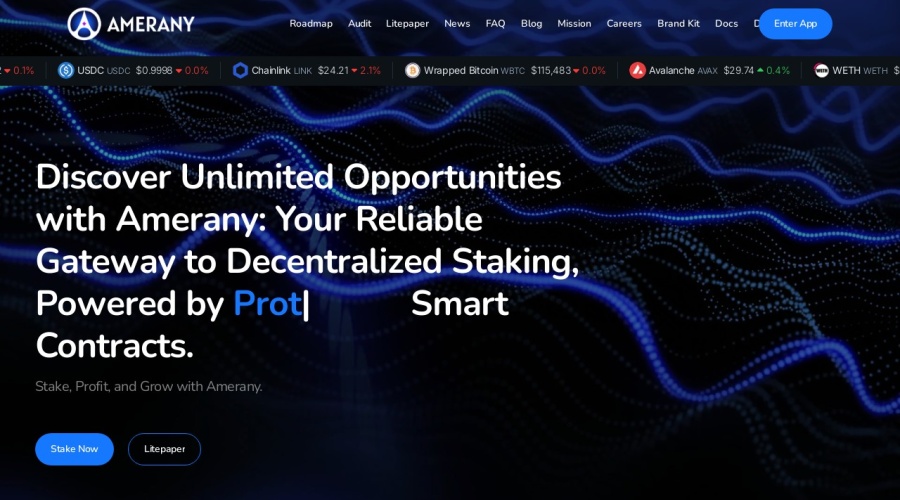 Screenshot of amerany.com