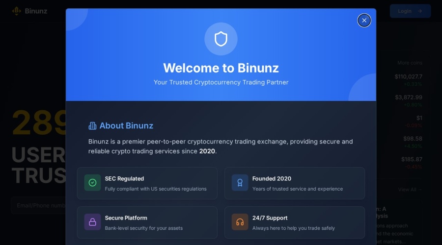 Screenshot of binunz.com