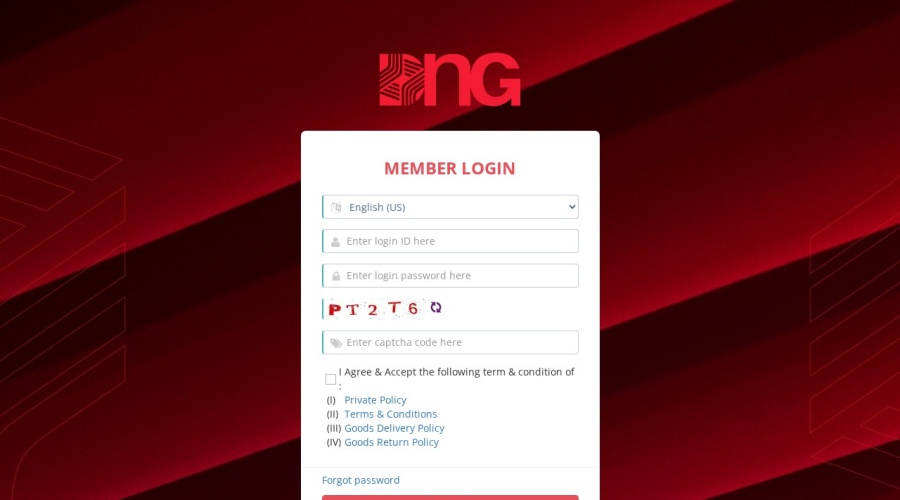 Screenshot of dcnow.vip