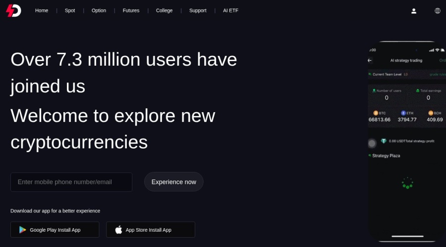 Screenshot of dsxs.com