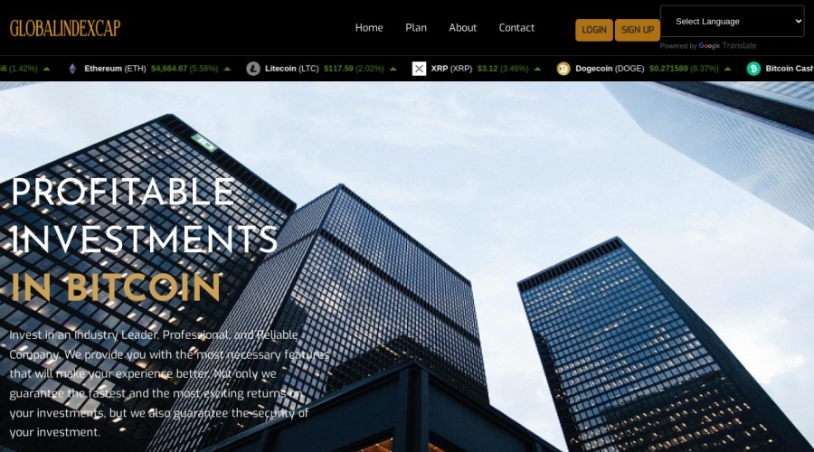Screenshot of globalindexcap.com