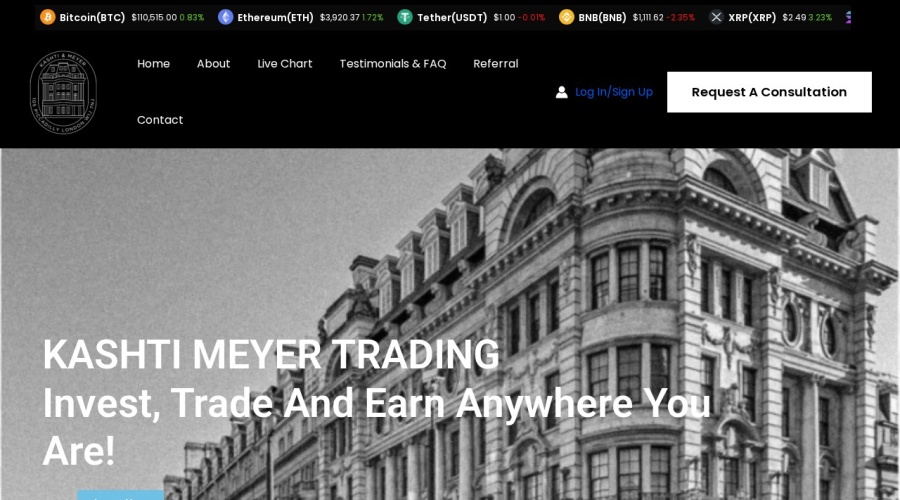 Screenshot of kashtimeyertrading.com