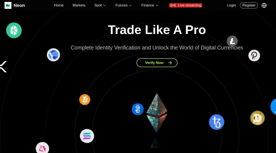 Screenshot of neonnettles.com