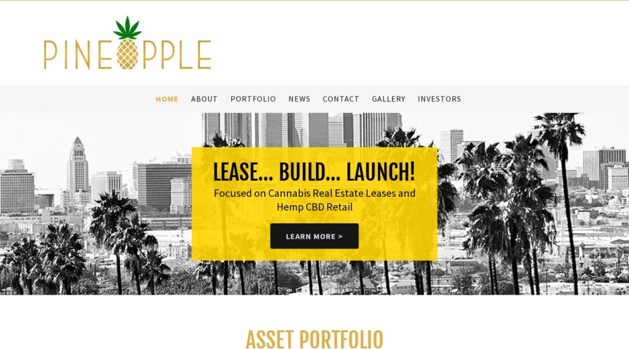 Screenshot of pineappleexpress .com