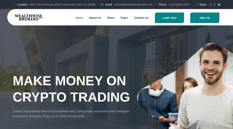 Screenshot of wealthwisebrokers.net
